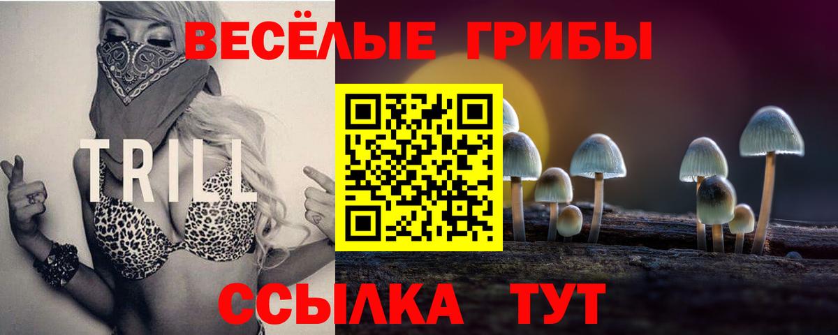 Галлюциногенные грибы мухоморы Дальнереченск