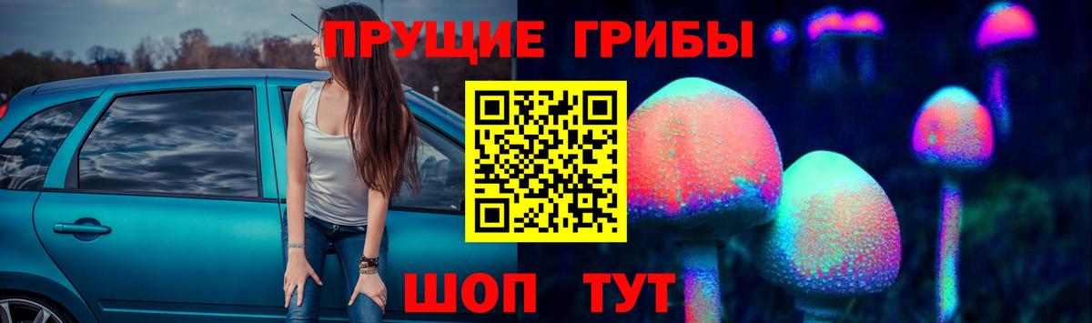 Дальнереченск  Псилоцибиновые грибы мицелий  Вход с VPN  купить наркоту  Галлюциногенные грибы ЛСД 